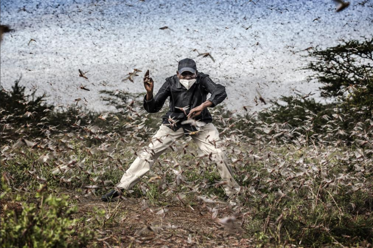 World Press Photo 2021: un fotógrafo español, nominado a las mejores fotos del año